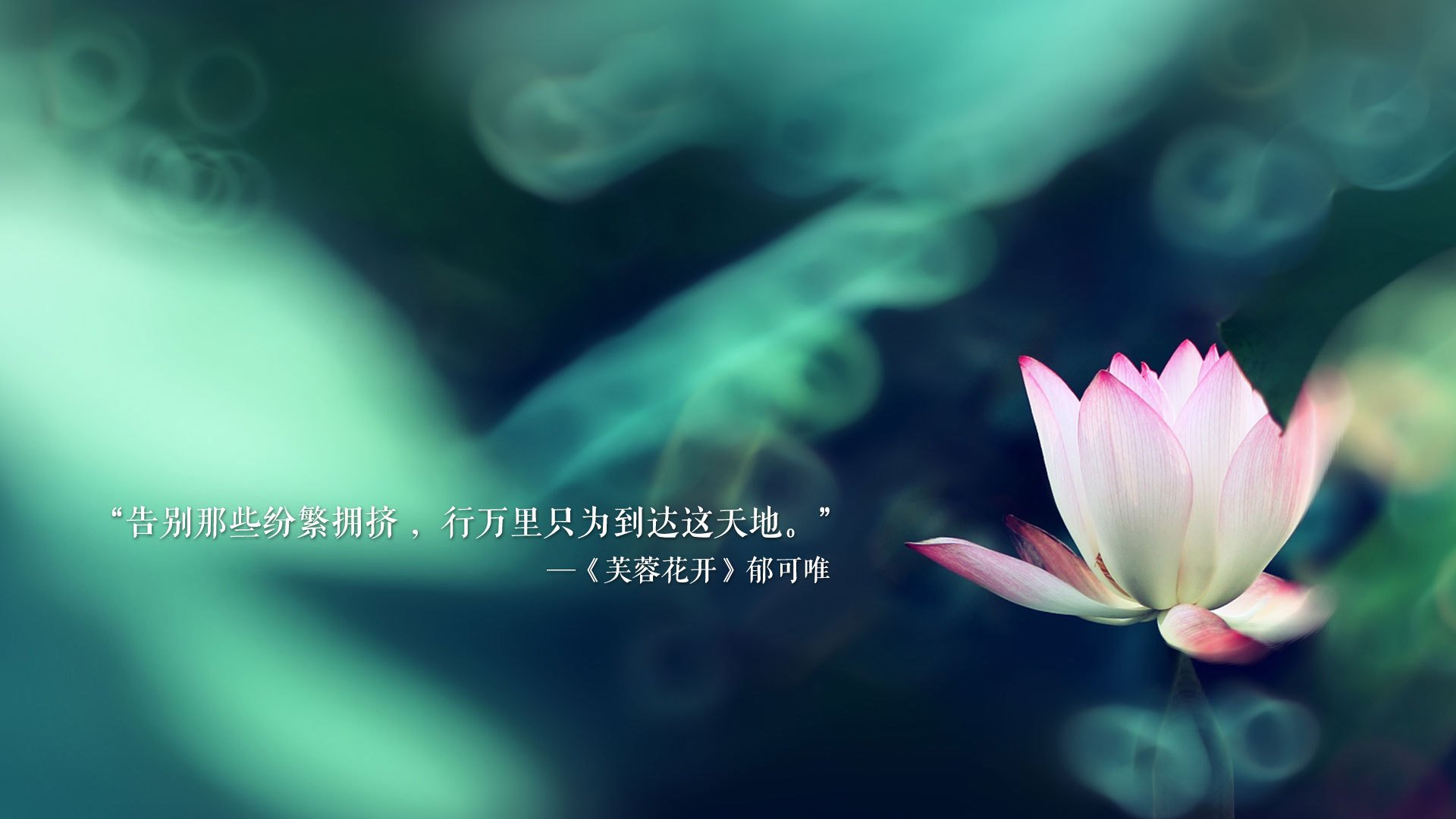 湖人主场狂胜戴维斯砍下三十六，戴维斯湖人首秀对阵勇士