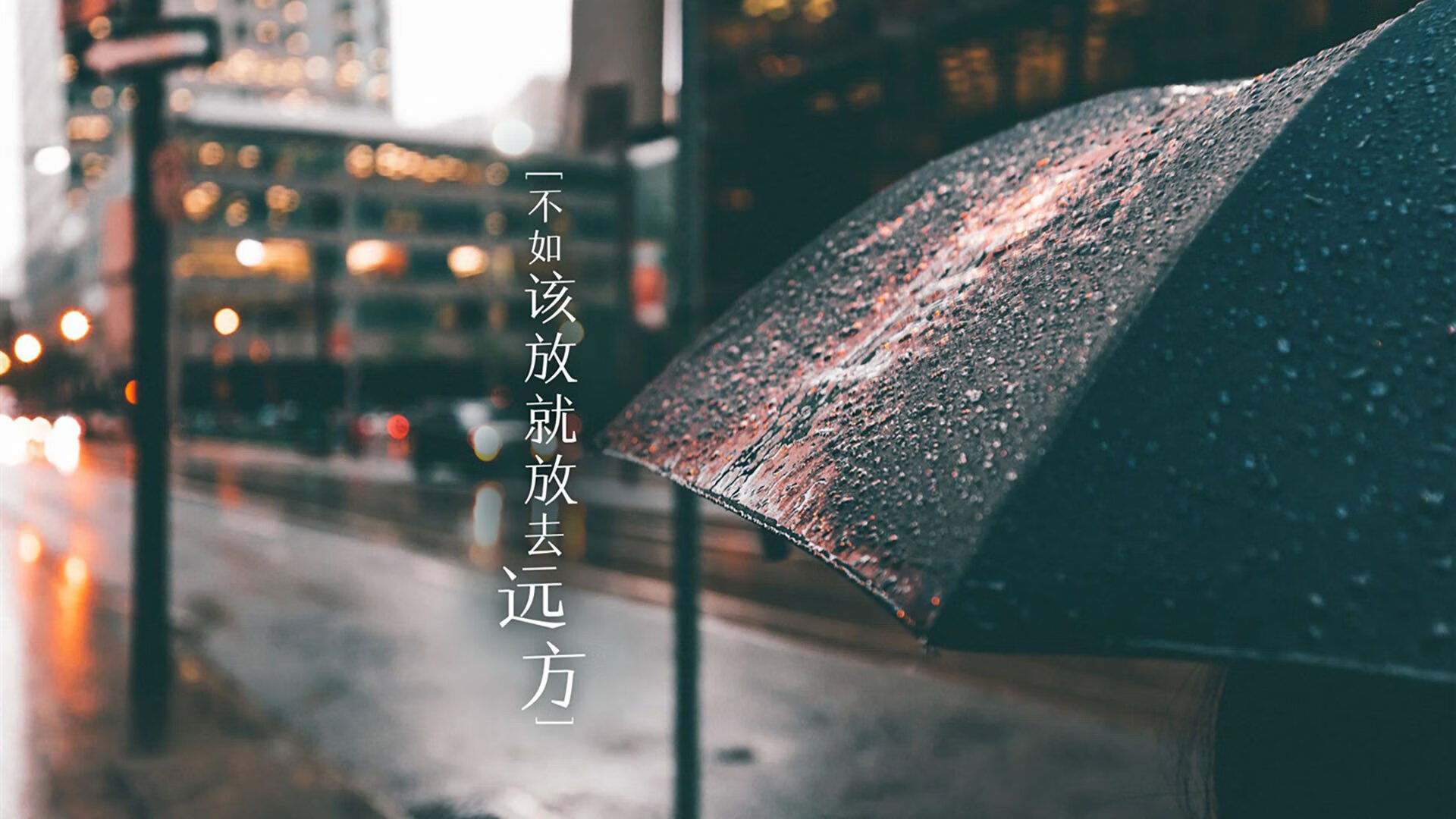 德雷塞尔王者归来 蝶泳再夺金，德雷塞尔蝶泳技术
