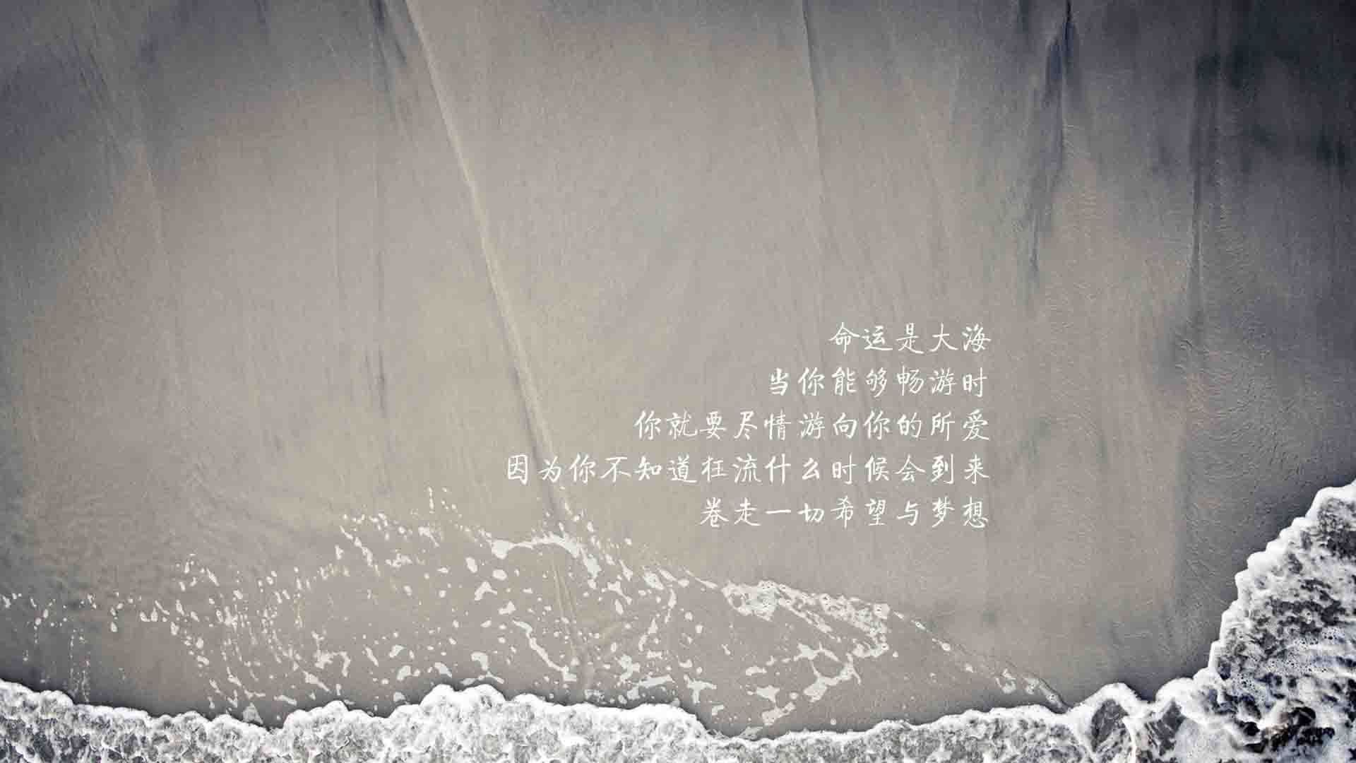 瑞典队在2024年混合团体世界杯中的全方位战术部署，瑞典联赛球队