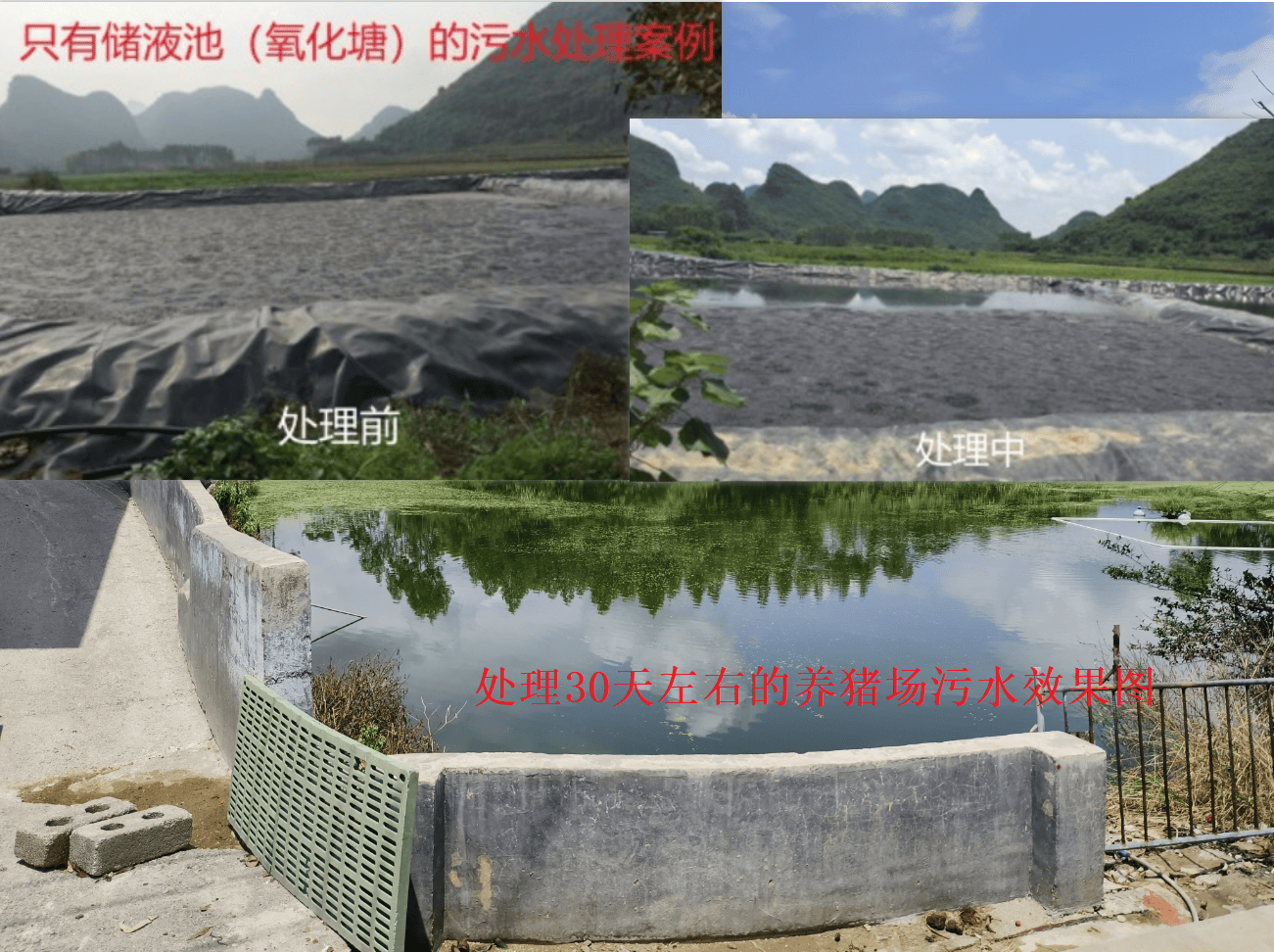 关于绿色篮球：联盟持续推动环保项目，践行可持续发展的信息