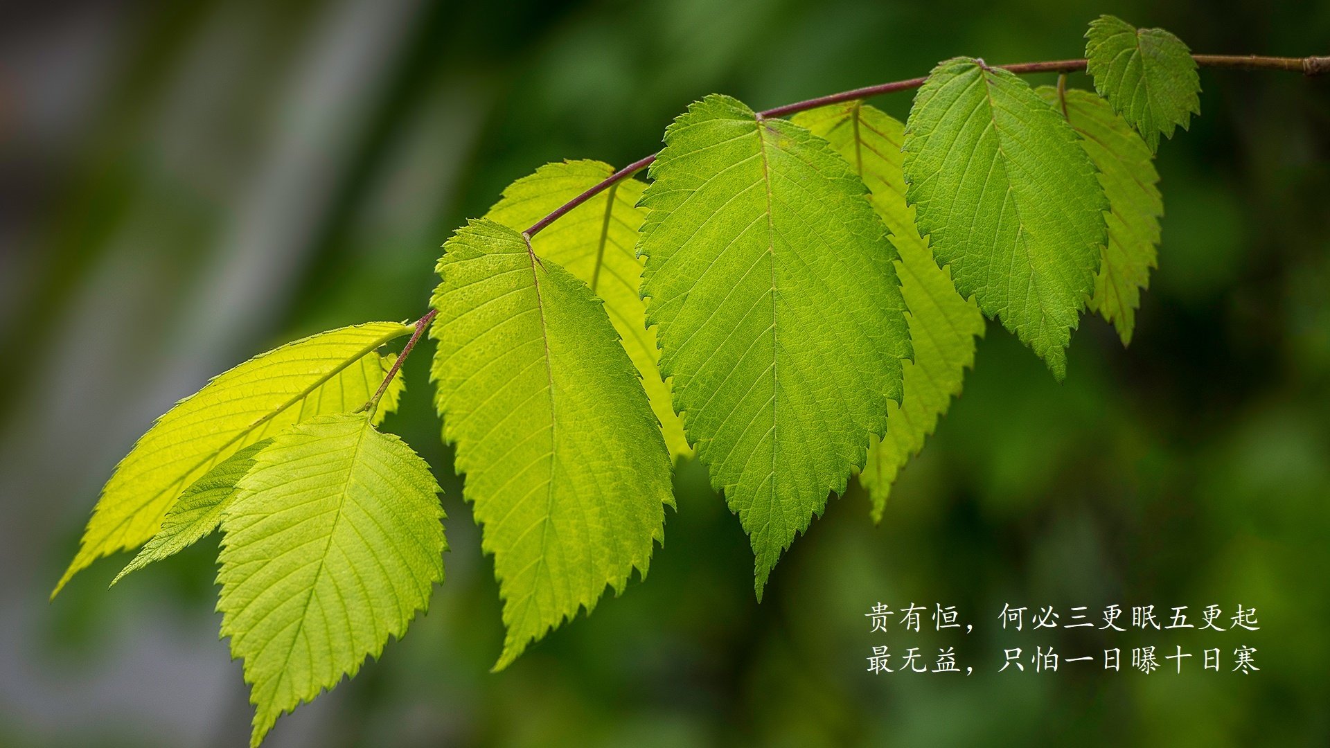 _未来运动时尚秀：科技服饰引领新风潮_，未来科技时装设计灵感说明