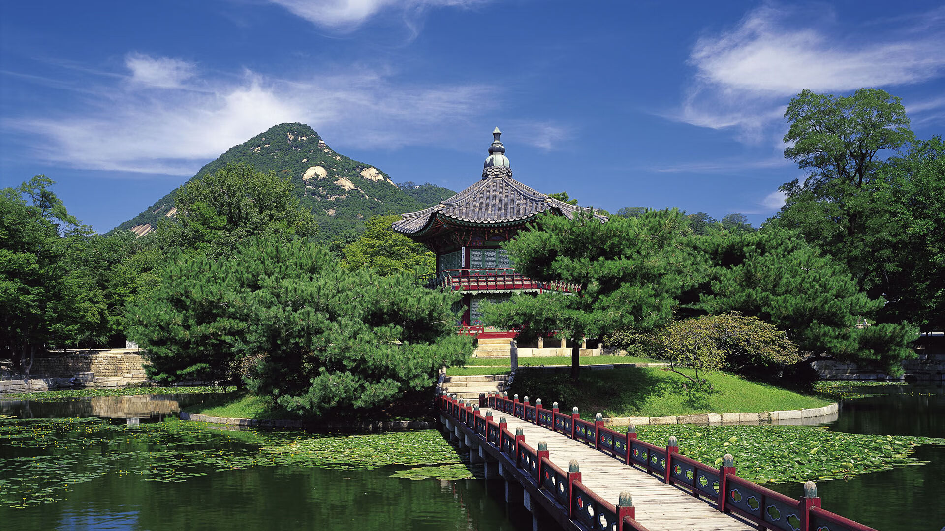 夜幕灯光轮滑表演，城市街头的青春舞台，深夜轮滑