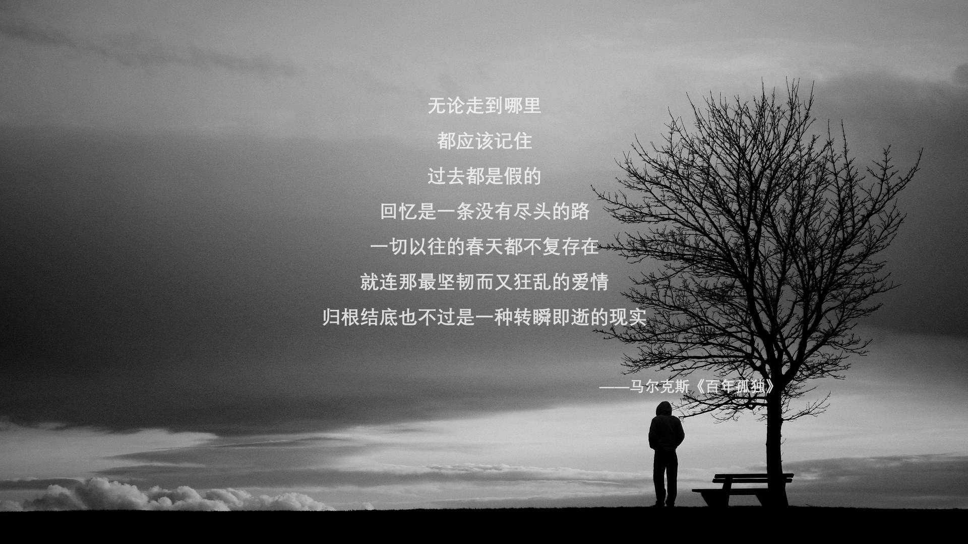 德甲实现赛场绿色环保理念，追求可持续发展