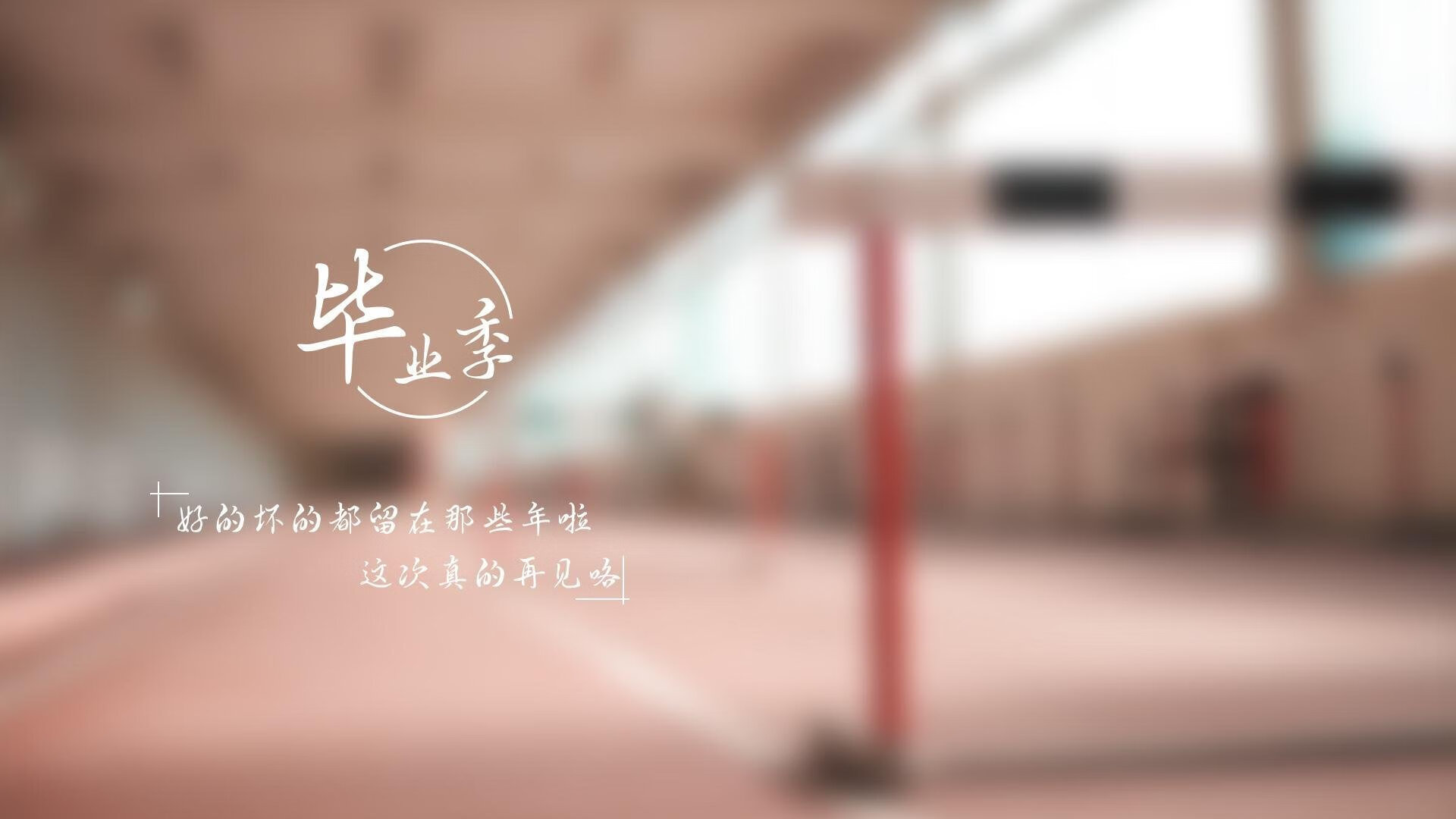 德甲巨头补强阵容，迎来价值千万级引援，德甲强队