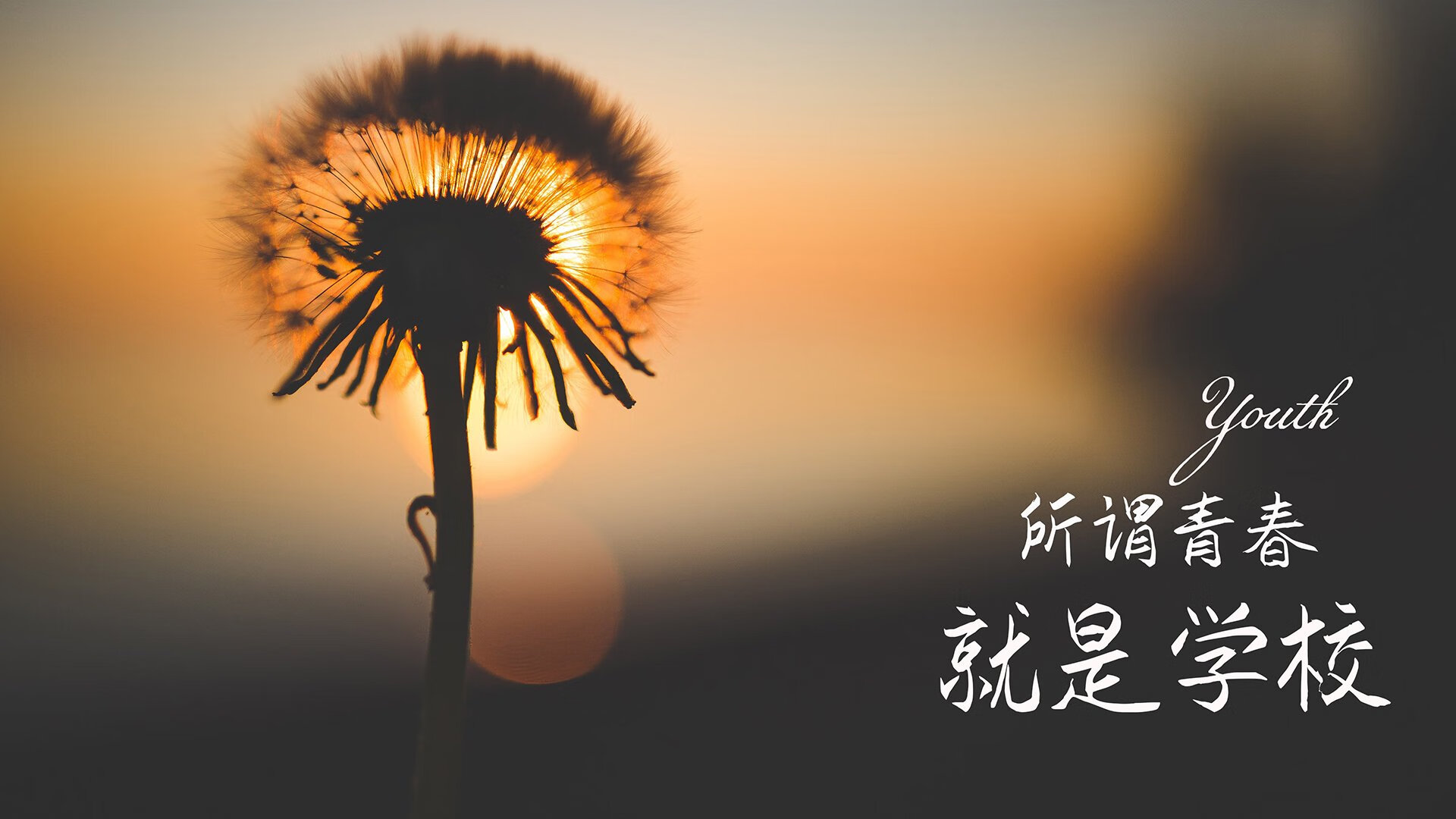 次世代技术助阵：智能球桌引领运动新潮流，智能球馆