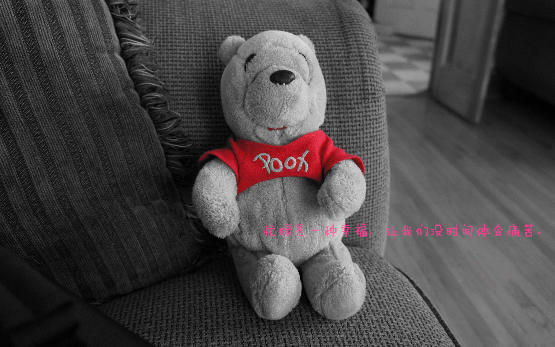 开云网页版登录入口-篮球青训基地升级设施改善训练环境，篮球青训队还能上学吗