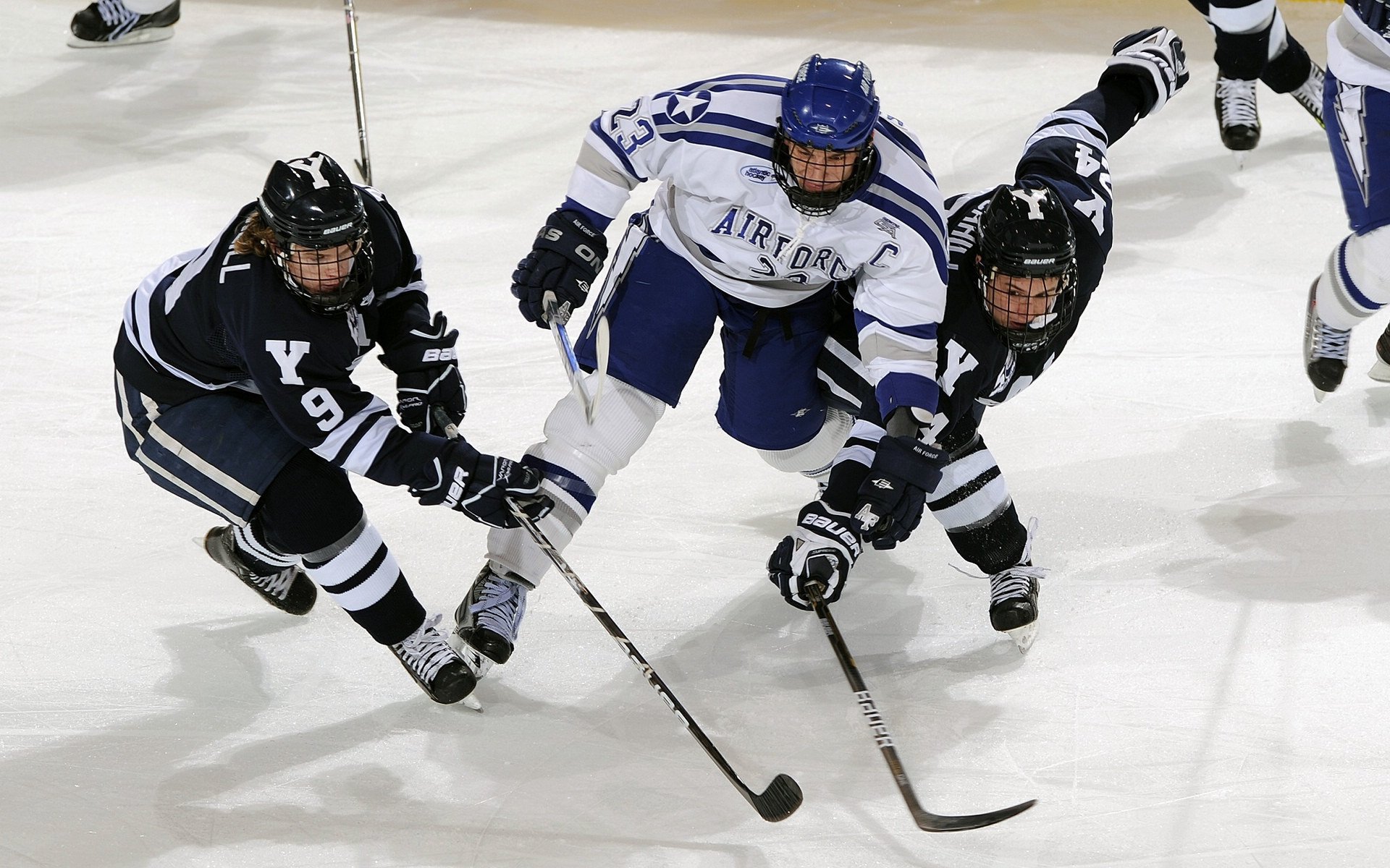 开云体育网页版入口-黄蜂球迷参与“设计主场助威动作”比赛,黄蜂球队
